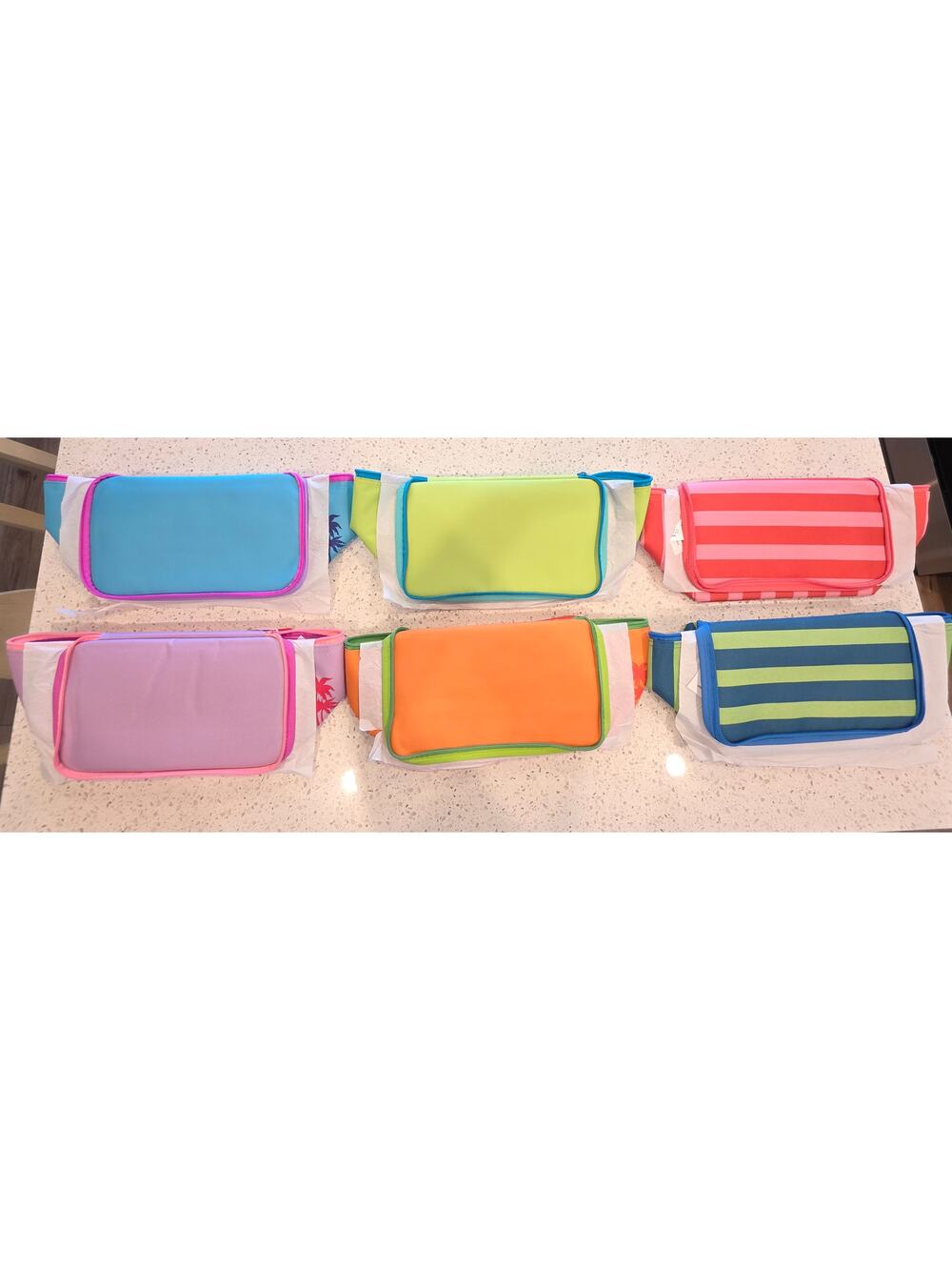 Trader Joe's Mini Insulated Totes NEW Summer 2026 Lot of 6